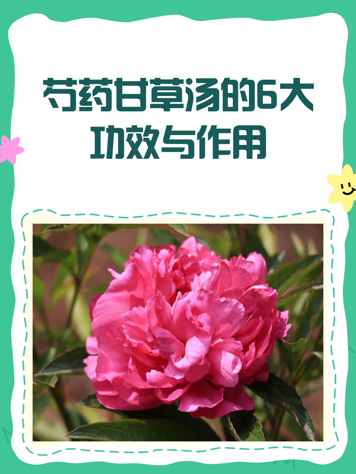芍药甘草汤,止痛养血还护肝!