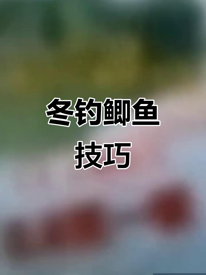 冬季钓鲫鱼,钩号选择有窍门:半斤以上用大钩