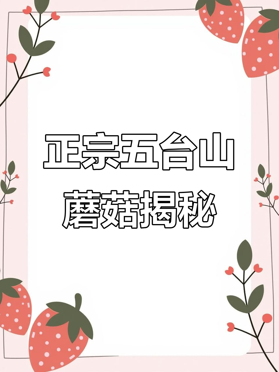 五台山蘑菇背后的秘密,为什么这么受欢迎?