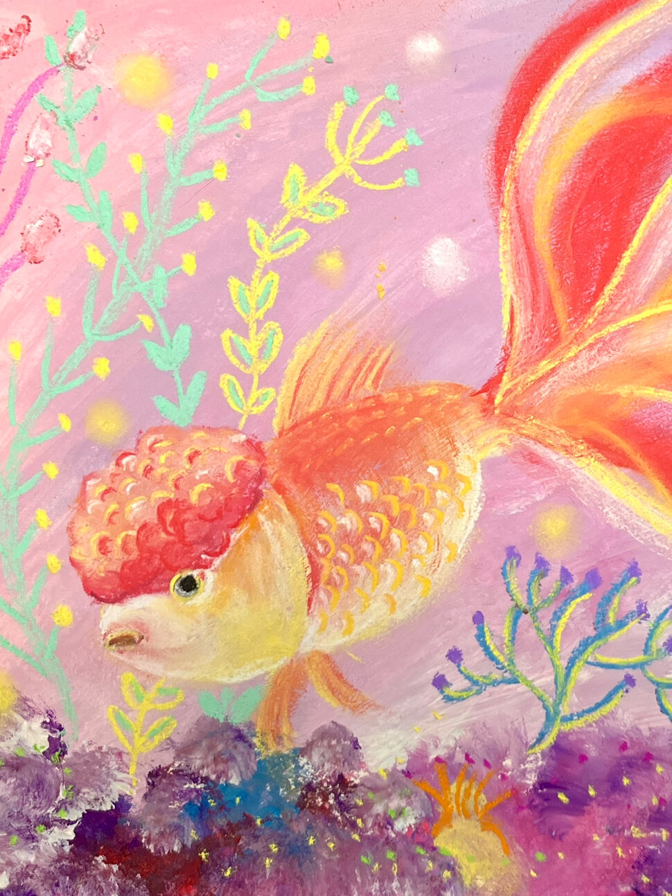 狮子头金鱼教程