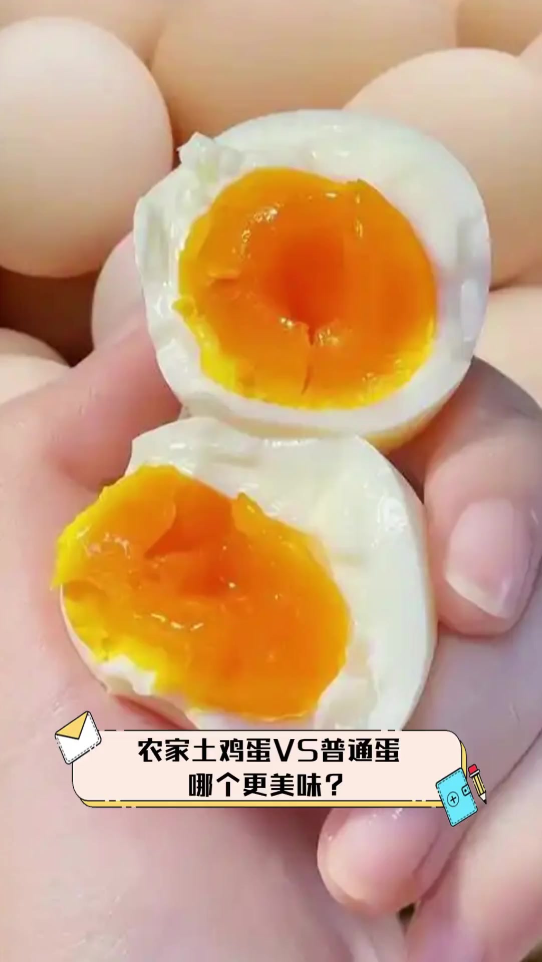 农家土鸡蛋VS普通蛋,哪个更美味?