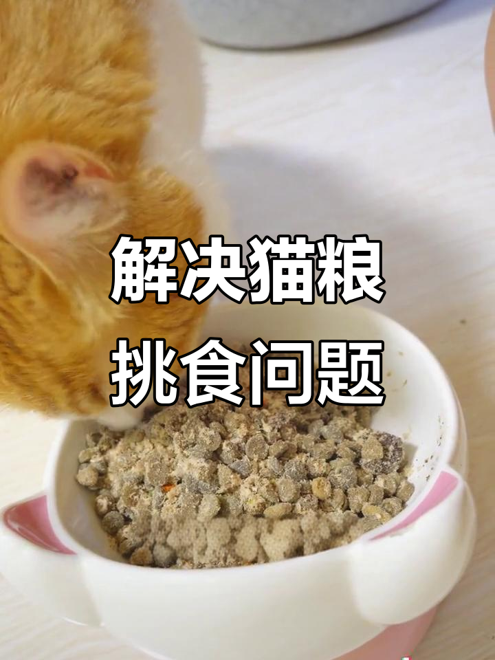 猫咪挑食不再难,鸭肉茸搭配高山菜改善食欲