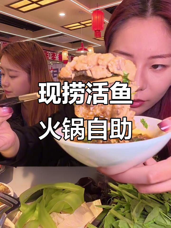 九龙坡现捞活鱼火锅,十多种鱼类不限量自助