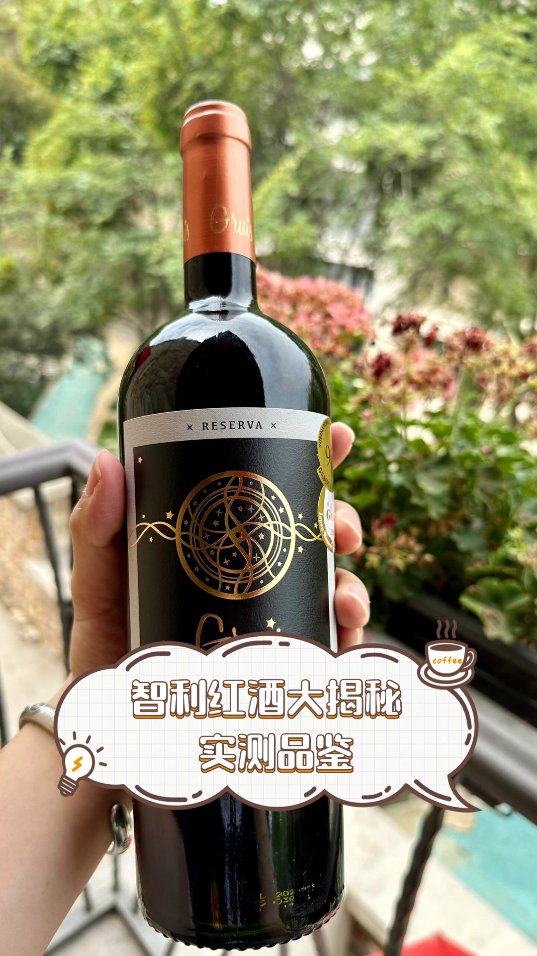 智利红酒大揭秘，实测品鉴