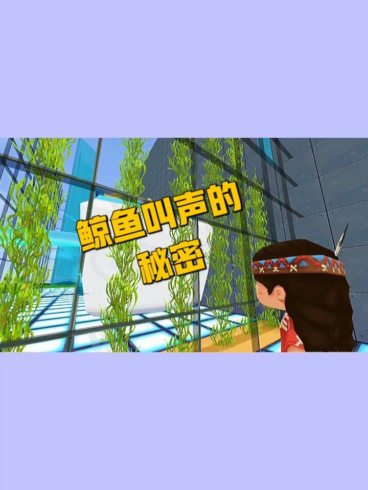鲸鱼叫声的秘密