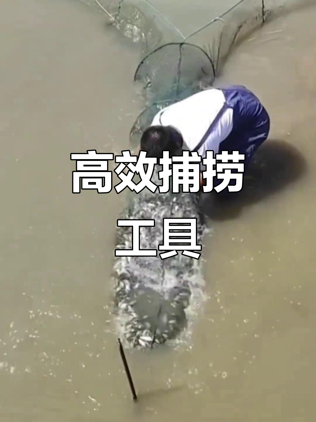 蓝河网拦鱼神器,轻松捕捉过路鱼