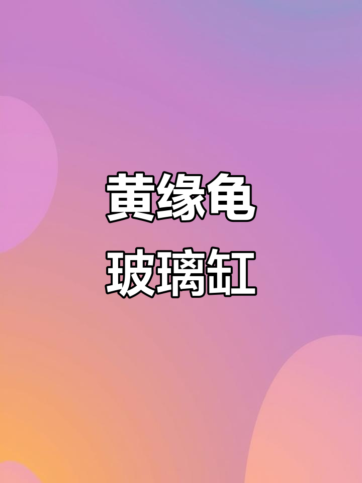 大型乌龟缸,黄缘龟专用水陆造景饲养箱