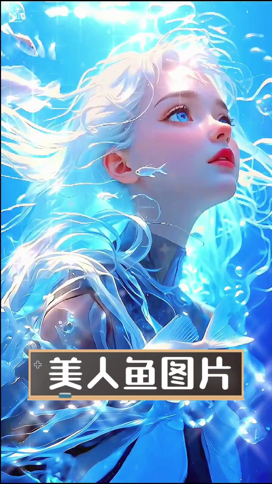 美人鱼图片
