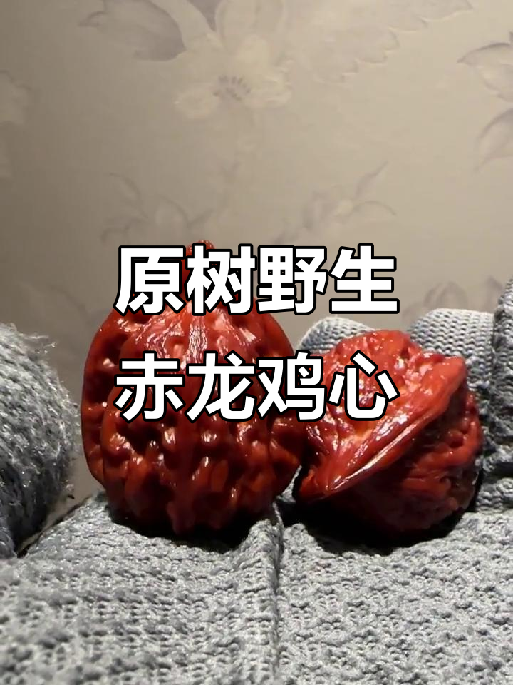 绝版赤龙鸡心核桃,原树野生珍品揭秘
