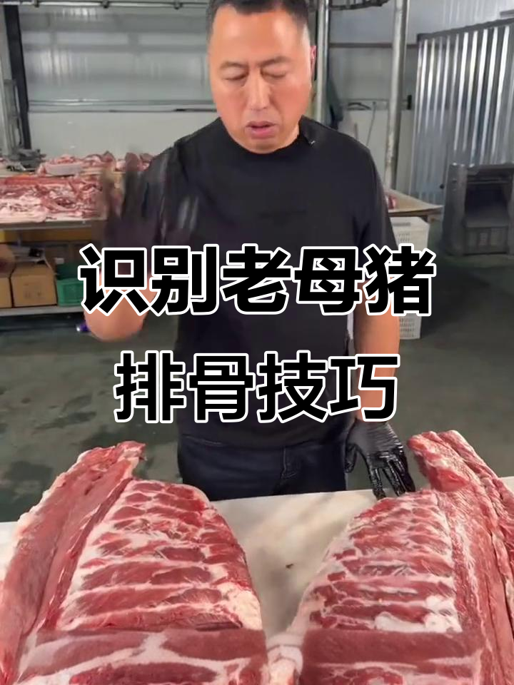 如何辨别老母猪肉与普通排骨的区别