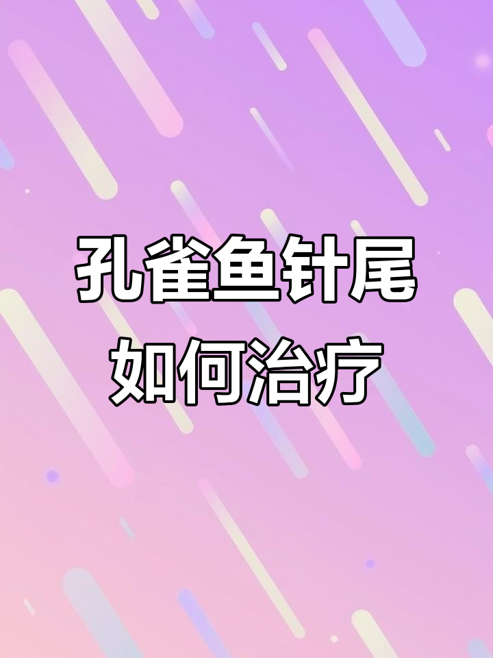 孔雀鱼针尾病能自愈吗?升温换水清理缸底是关键