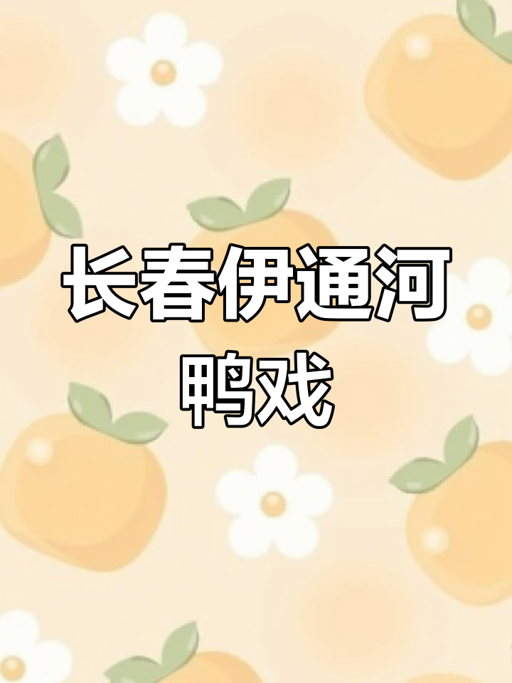 2025年3月,长春伊通河畔群鸭戏水美景