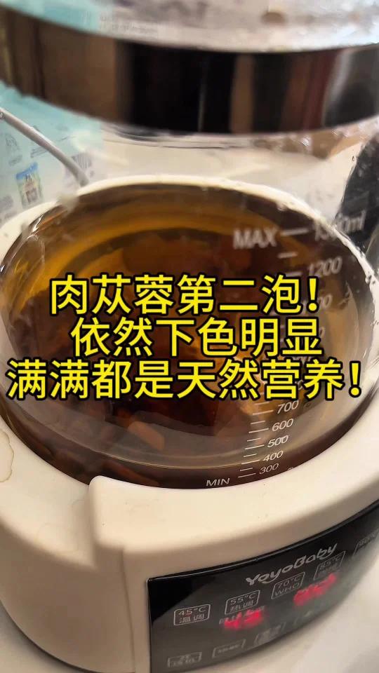 来和小迪看看肉苁蓉煮水喝时什么样子!