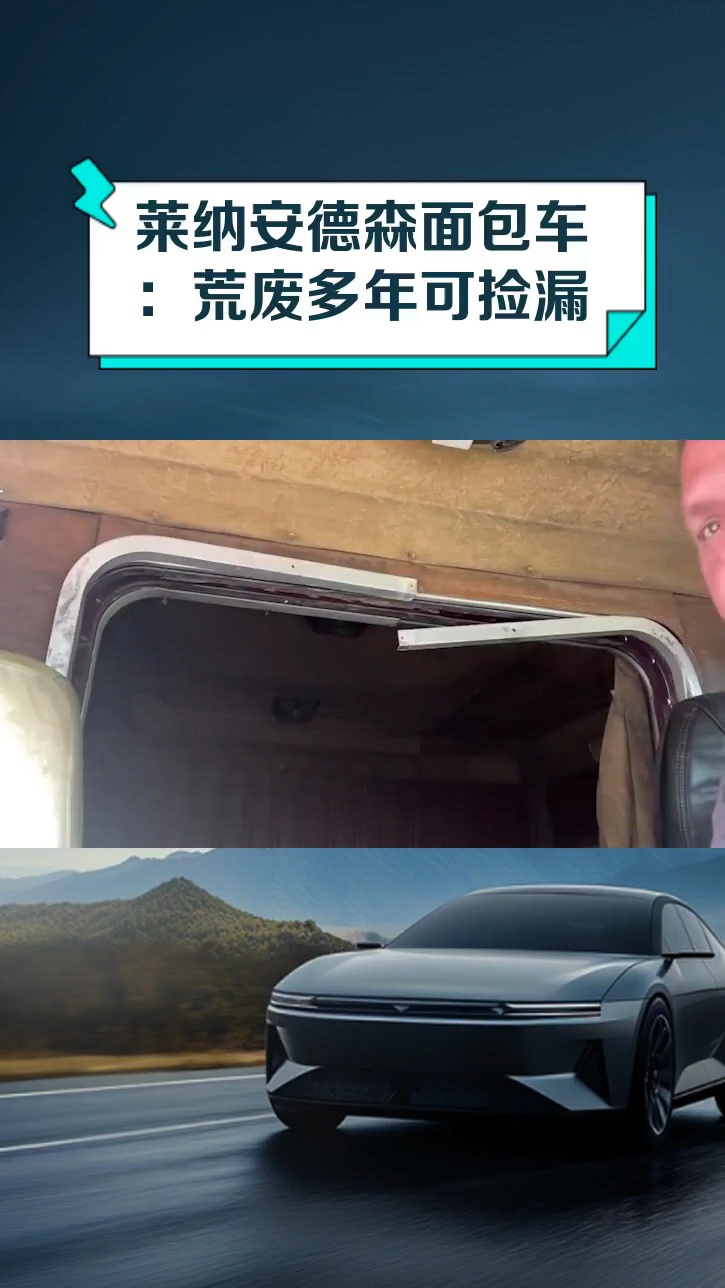 莱纳安德森面包车:荒废多年可捡漏