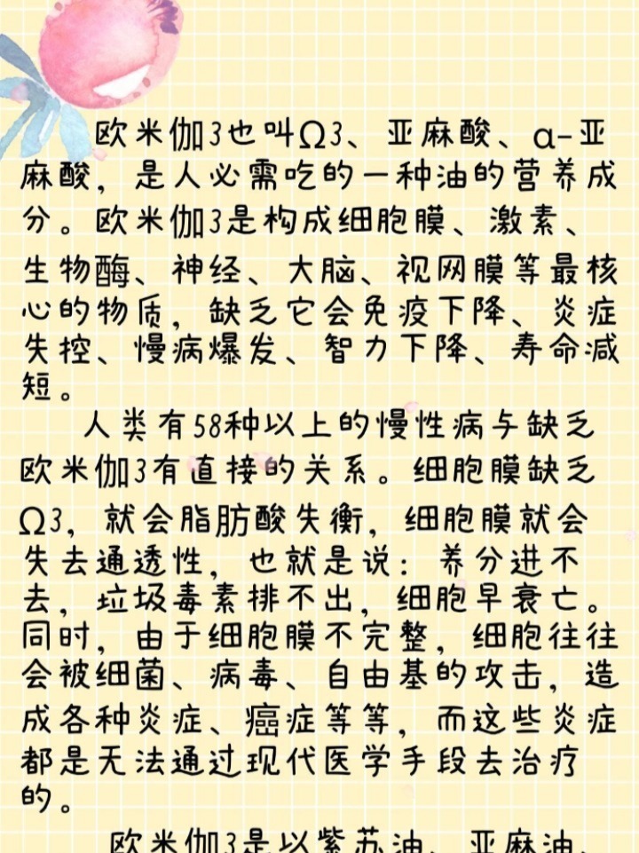 欧米伽3和欧米伽6你了解吗
