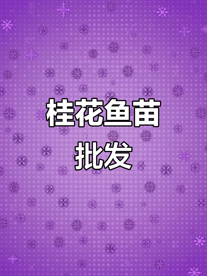 优质桂花鱼苗,批发供应,惠州、广州多地可放生