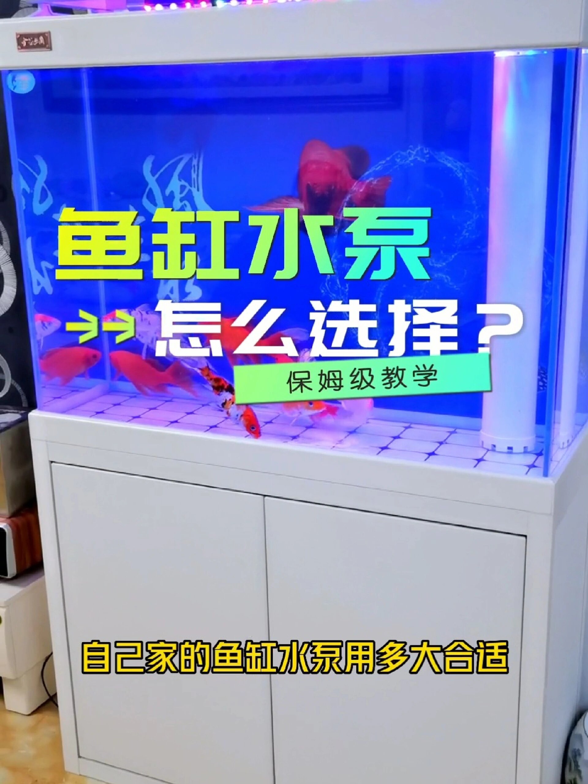 鱼缸水泵怎么选择?