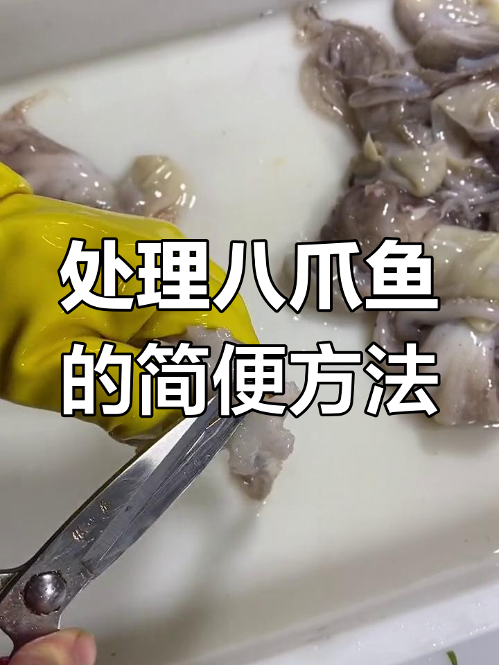 八爪鱼处理技巧,轻松去内脏