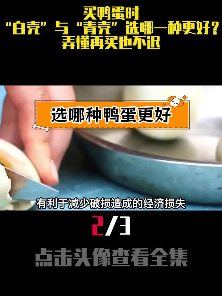 青壳与白壳鸭蛋,哪个更优?