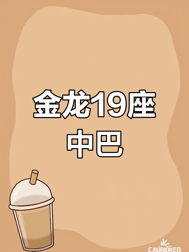 2015年金龙19座中型柴油车,赵福豫一手车,性能超乎想象