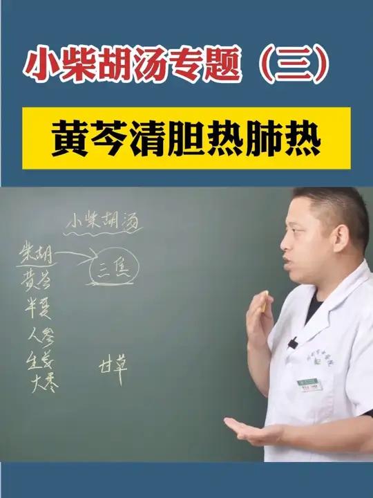 小柴胡汤专题 黄芩清胆热肺热