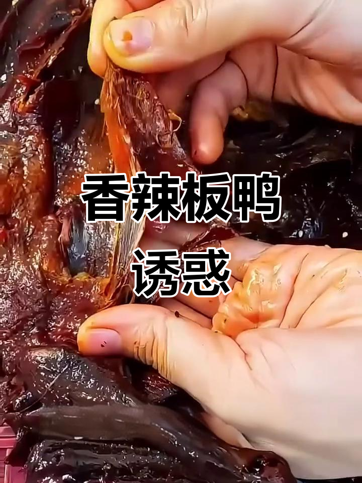 香辣酱板鸭,口感丰富,回味无穷,吃一次就停不下来!