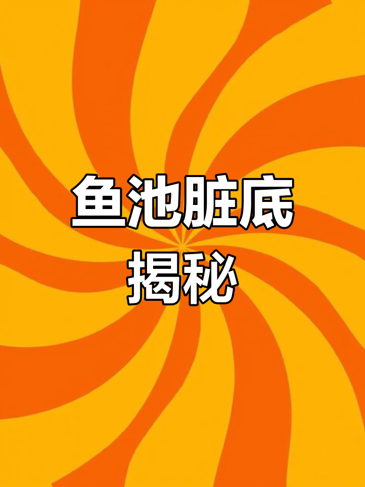 鱼池底部藏污纳垢,鹅卵石铺得太厚了!