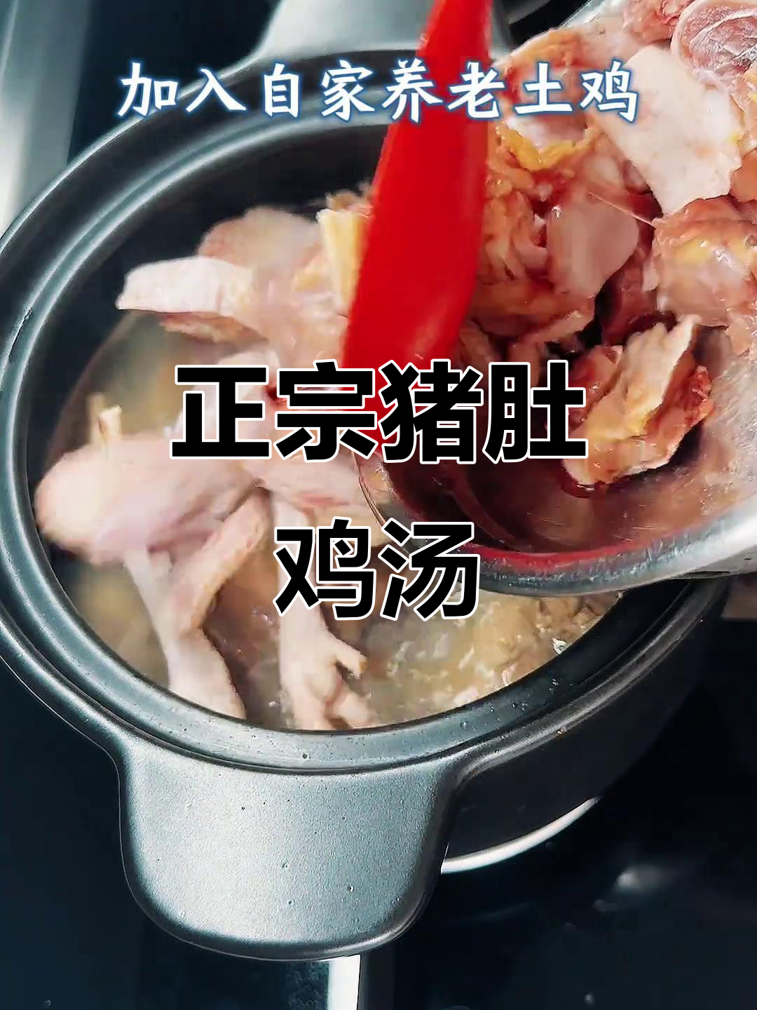 猪肚鸡煲家常做法,鲜美无比!