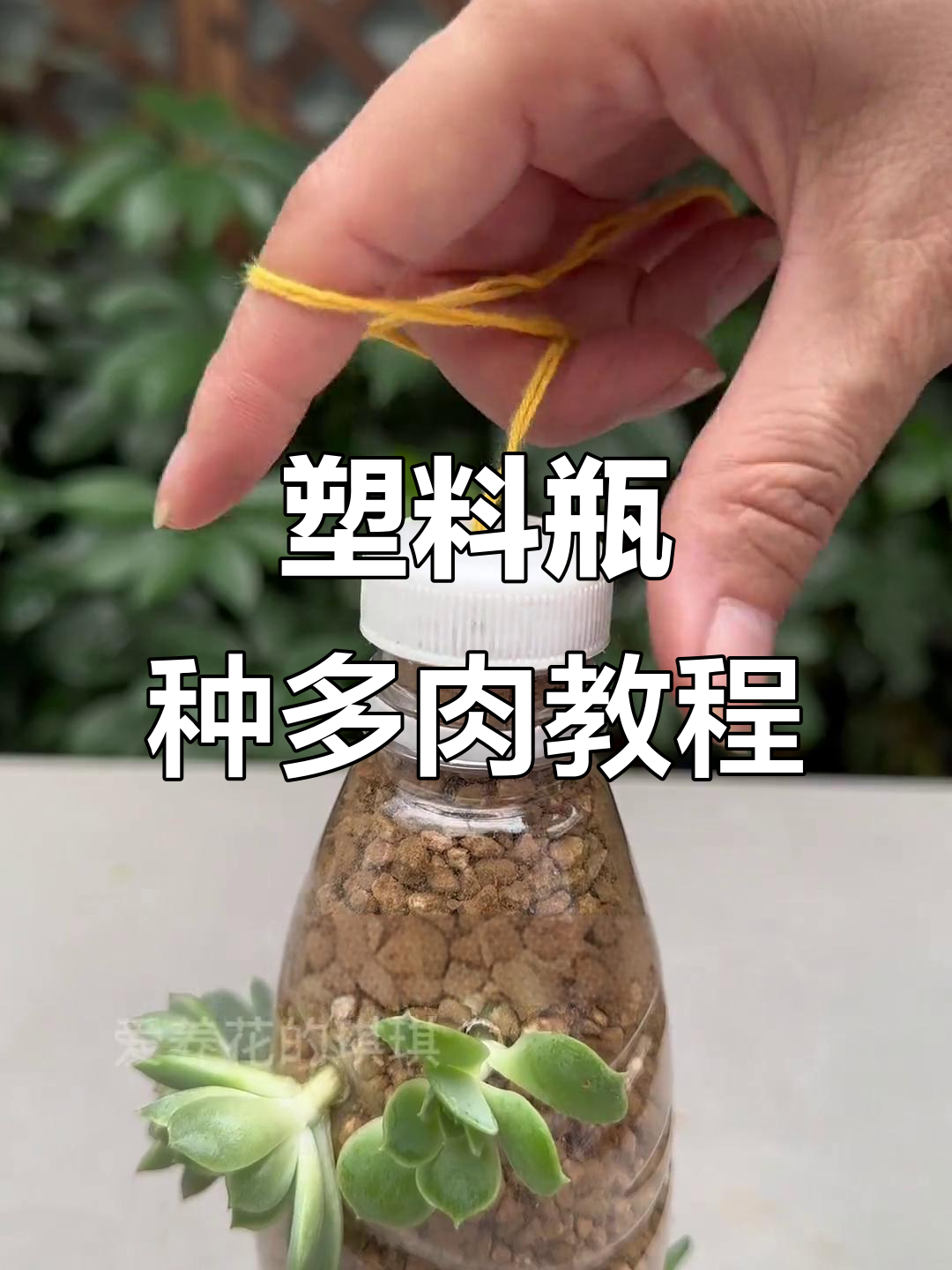 用废旧矿泉水瓶做多肉花盆，简单又美观