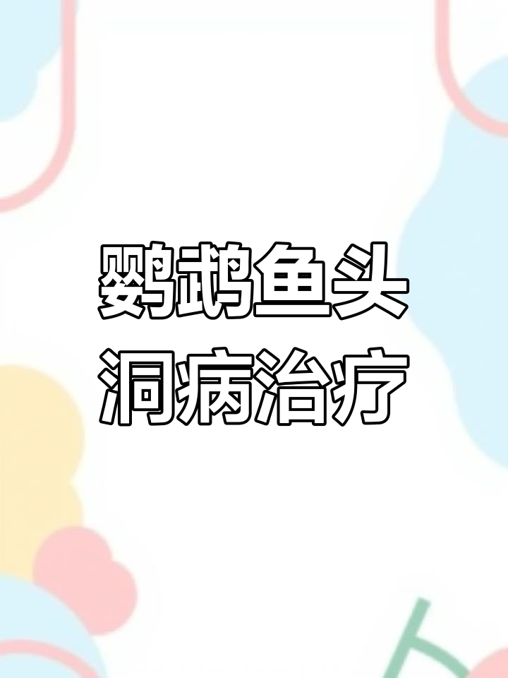 鹦鹉鱼头痛病全解析:原因、症状与治疗方法