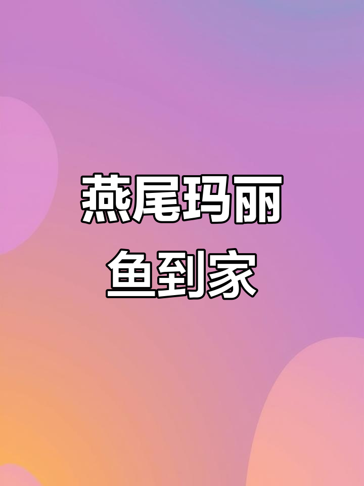 燕尾玛丽球回家生宝宝,吃油膜青苔绿藻大快朵颐