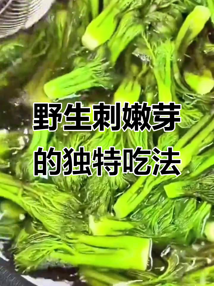 东北野生刺嫩芽,山野菜之王的美味做法