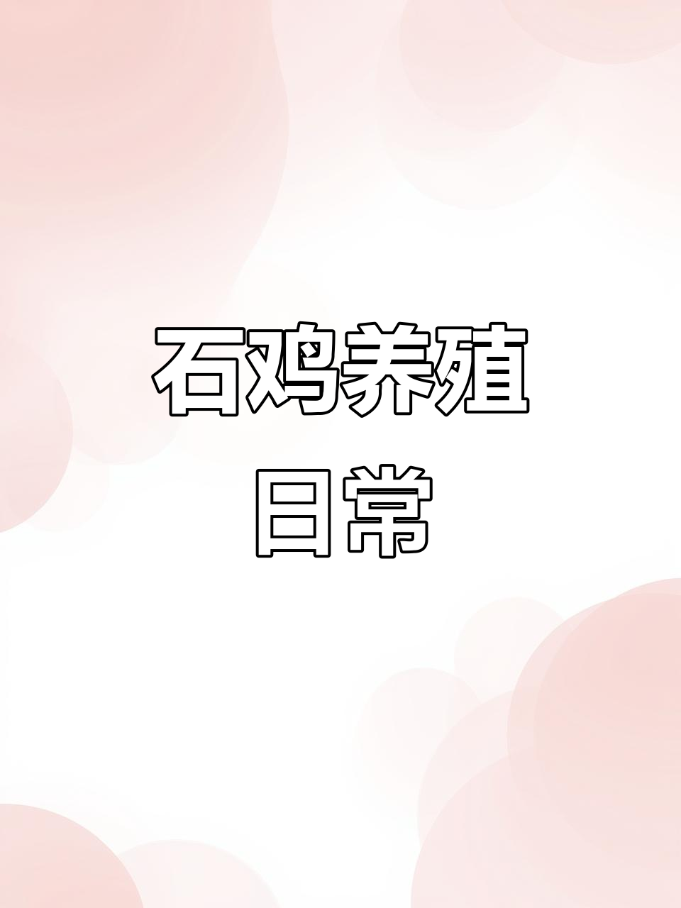 5月记录:可爱动物石鸡养殖的日常