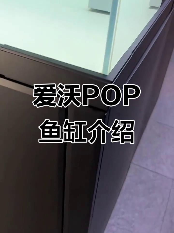 九鼎爱沃POP鱼缸:智能设计、四层过滤,轻松打理