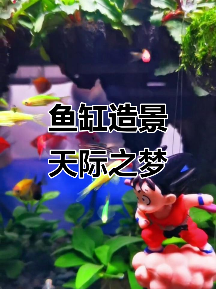 鱼缸里的“天空之城”造景，打造梦幻水族世界