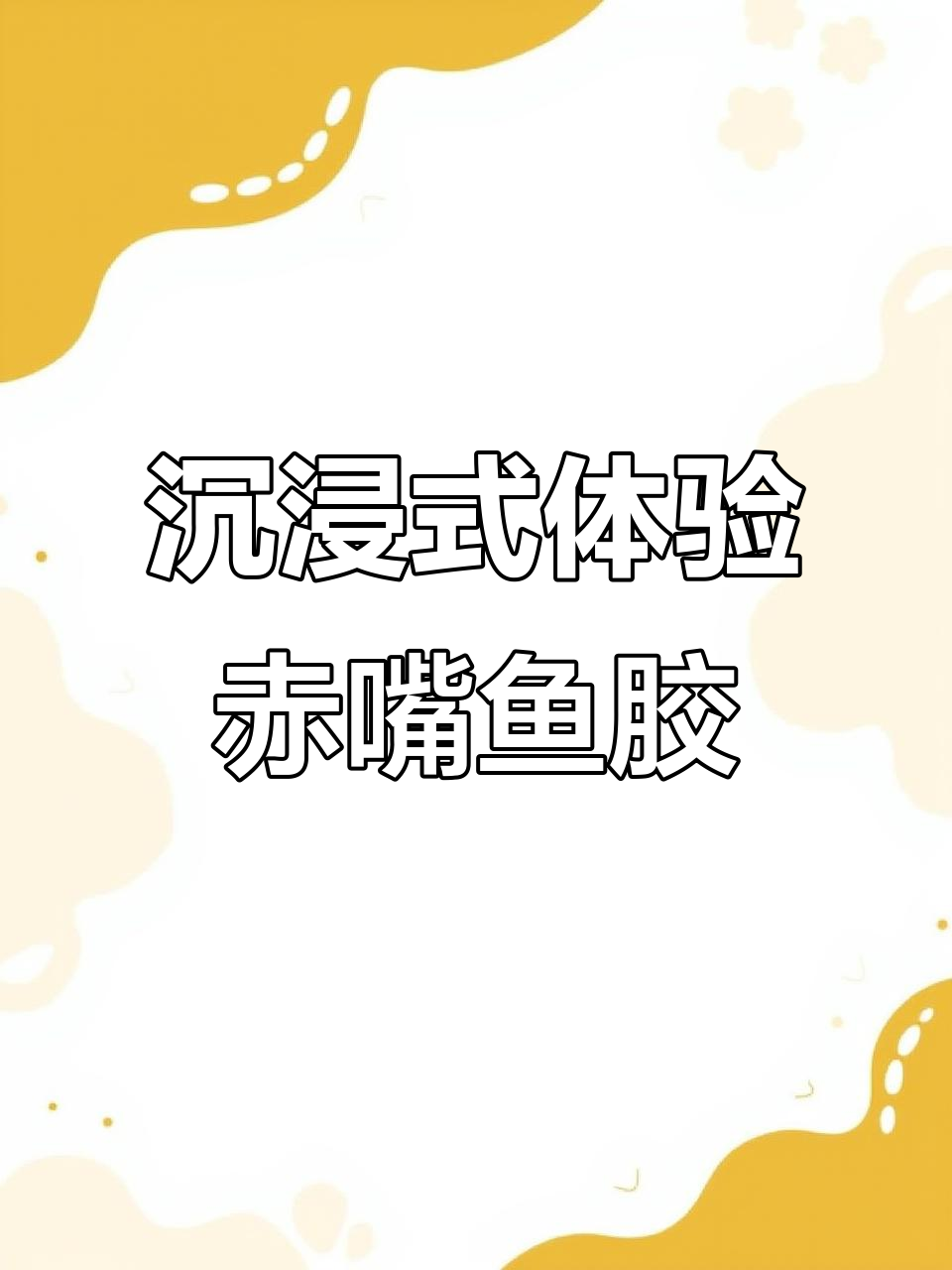 七头野生赤嘴鱼胶大揭秘,颜值与口感并存!