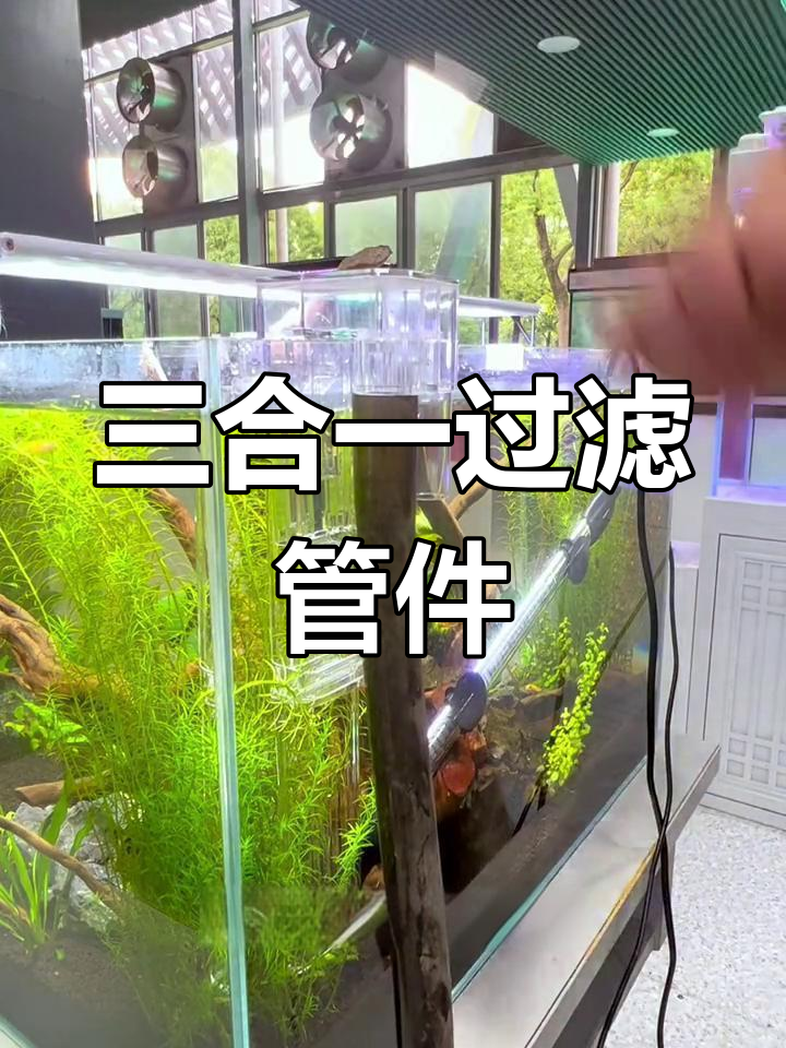 鱼缸过滤三合一管件解析:进出水与除油膜功能