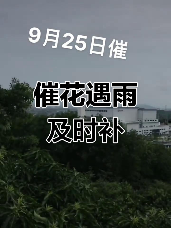 荠菜煮鸡蛋的由来与功效