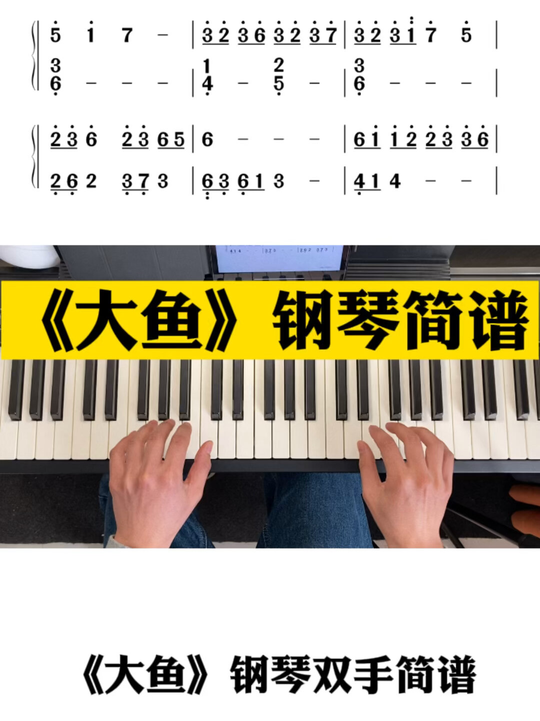 《大鱼》钢琴双手简谱