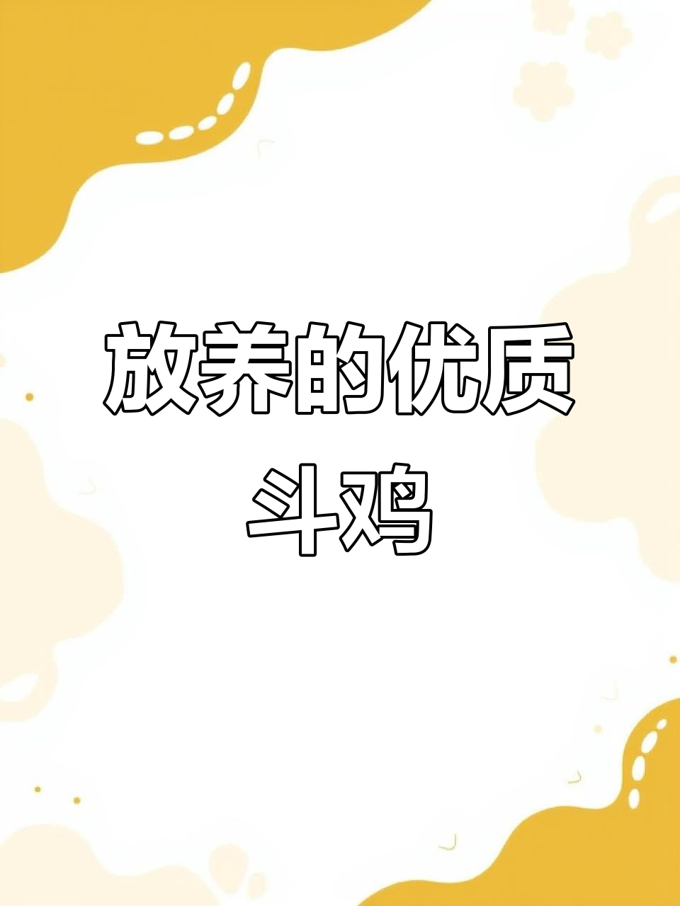 脱温杂交斗鸡阉，放养更省心
