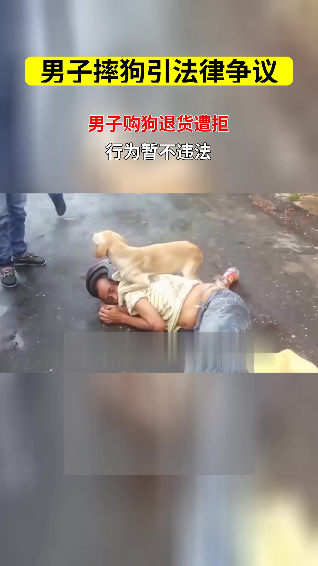 摔狗案法律分析
