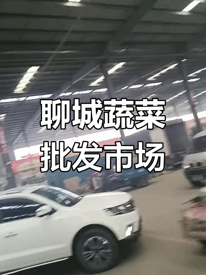 聊城蔬菜批发市场:早晨的忙碌与餐桌上的鲜美