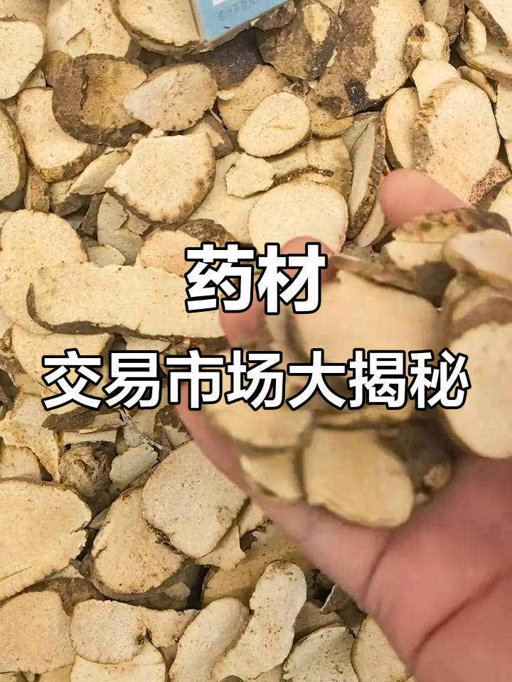 中国最大药材市场:山银花、金银花等一应俱全,价格透明保质保量