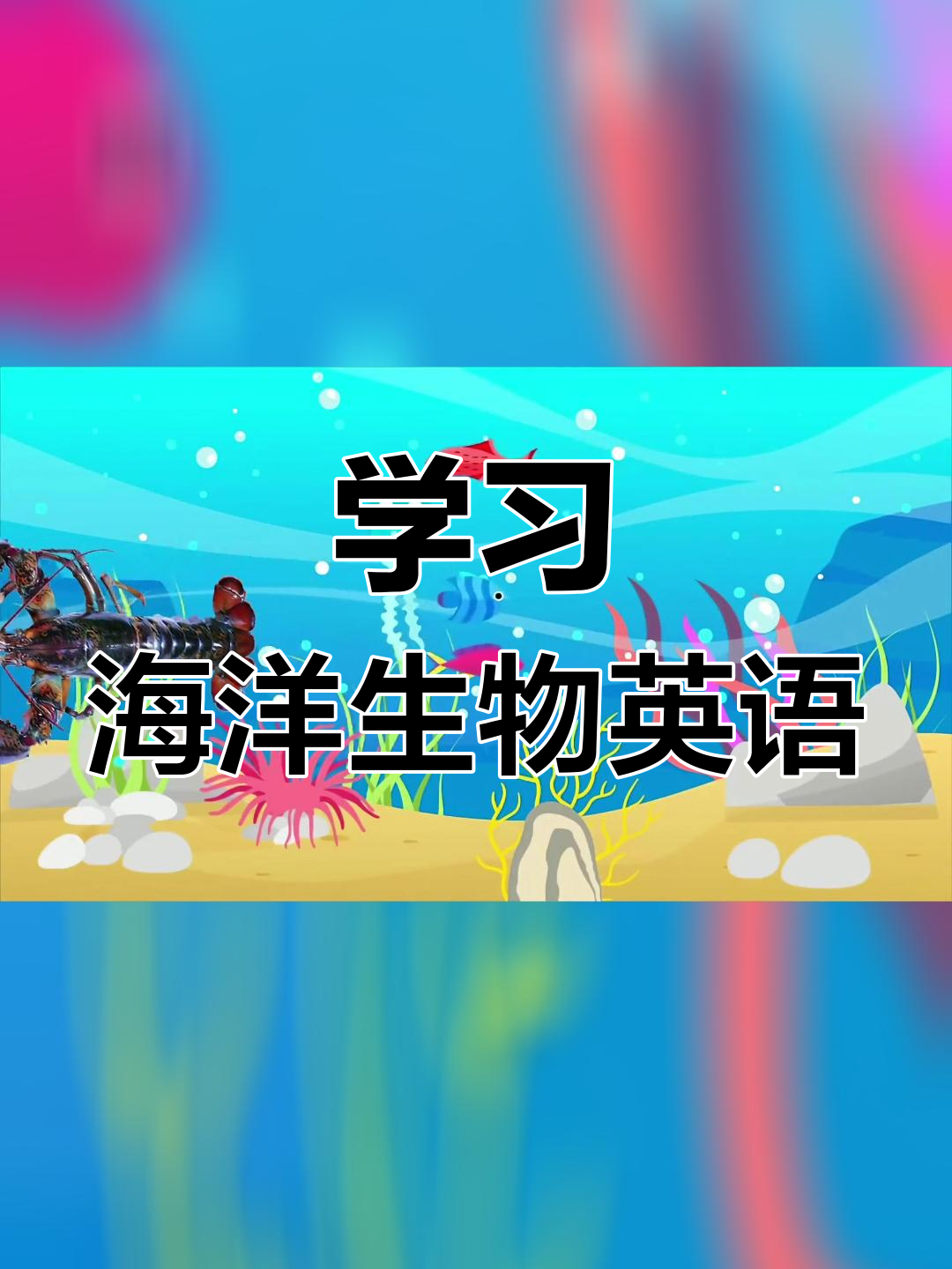 海洋动物大揭秘:龙虾、企鹅和海狮的英文学习