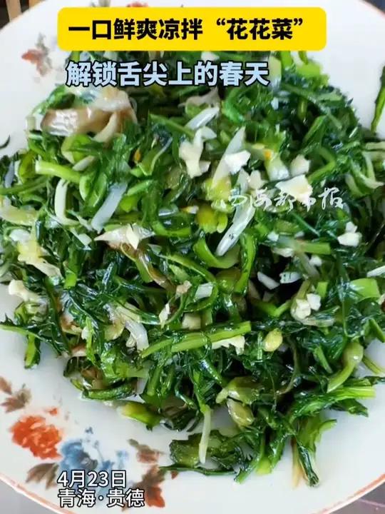 青海 春日怎能少了 野菜 一口鲜爽凉拌“花花菜” 解锁舌尖上的春天