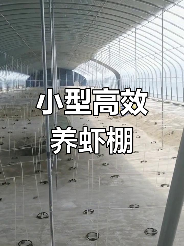 18米宽养虾大棚设计,快速回报投资