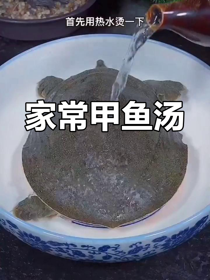甲鱼汤家常做法,炖出鲜美原汁原味