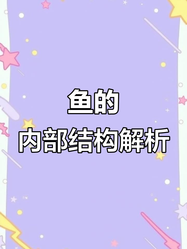 鱼体各部位大揭秘：从胸鳍到心脏的详细介绍
