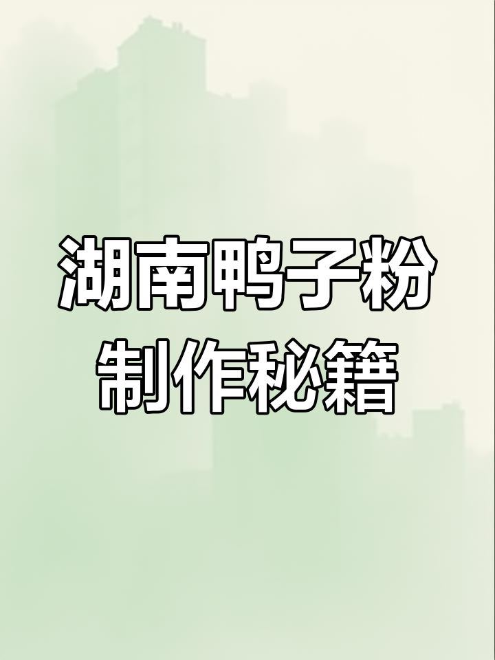湖南鸭子粉的独特配方,汤料包让你轻松熬出美味高汤