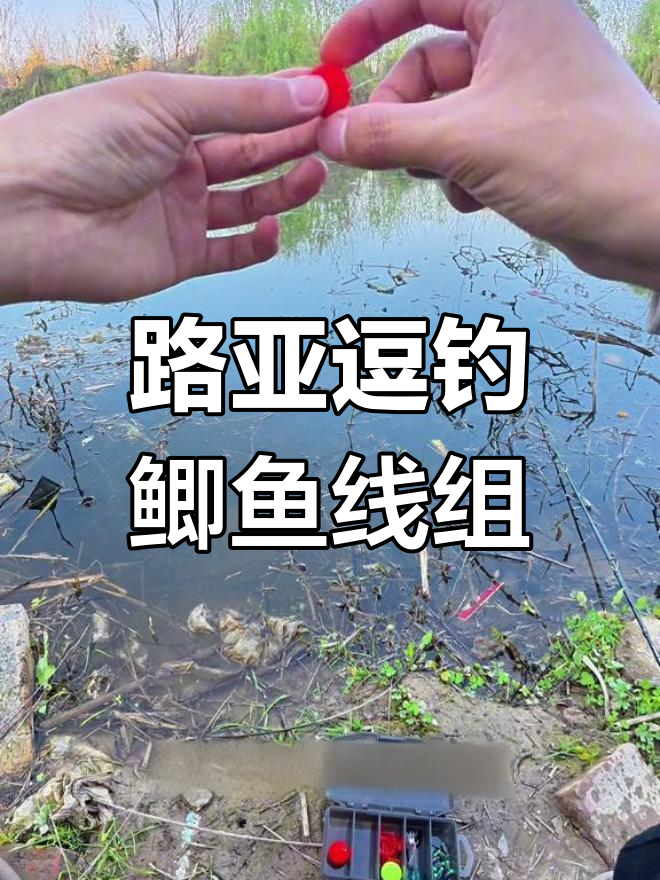 路亚逗钓鲫鱼线组组装技巧,轻松掌握!